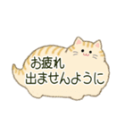 もふネコ吹き出し 優しい毎日（個別スタンプ：8）