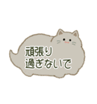 もふネコ吹き出し 優しい毎日（個別スタンプ：11）