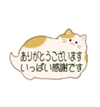 もふネコ吹き出し 優しい毎日（個別スタンプ：13）