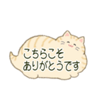 もふネコ吹き出し 優しい毎日（個別スタンプ：16）