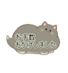 もふネコ吹き出し 優しい毎日（個別スタンプ：18）