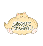 もふネコ吹き出し 優しい毎日（個別スタンプ：23）