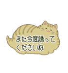 もふネコ吹き出し 優しい毎日（個別スタンプ：26）