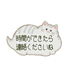 もふネコ吹き出し 優しい毎日（個別スタンプ：35）