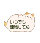 もふネコ吹き出し 優しい毎日（個別スタンプ：36）