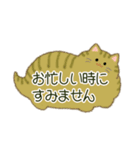 もふネコ吹き出し 優しい毎日（個別スタンプ：37）