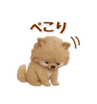 毎日使えるポメラニアンのグルメスタンプ（個別スタンプ：19）