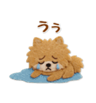 毎日使えるポメラニアンのグルメスタンプ（個別スタンプ：20）