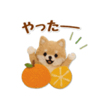 毎日使えるポメラニアンのグルメスタンプ（個別スタンプ：24）