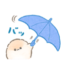 ぽぽちの雨の日スタンプ（個別スタンプ：14）