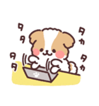 ふわふわシーズー お仕事！（個別スタンプ：1）