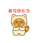 にゃんたぬ 癒しのゆるかわキグルミ猫（個別スタンプ：1）