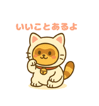 にゃんたぬ 癒しのゆるかわキグルミ猫（個別スタンプ：2）