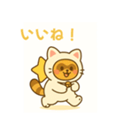 にゃんたぬ 癒しのゆるかわキグルミ猫（個別スタンプ：3）