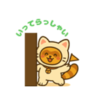 にゃんたぬ 癒しのゆるかわキグルミ猫（個別スタンプ：6）