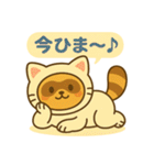 にゃんたぬ 癒しのゆるかわキグルミ猫（個別スタンプ：13）