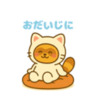 にゃんたぬ 癒しのゆるかわキグルミ猫（個別スタンプ：25）
