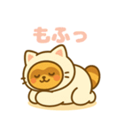 にゃんたぬ 癒しのゆるかわキグルミ猫（個別スタンプ：29）