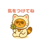 にゃんたぬ 癒しのゆるかわキグルミ猫（個別スタンプ：37）