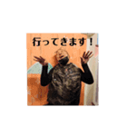え？ばく？vol.2（個別スタンプ：1）