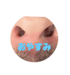 え？ばく？vol.2（個別スタンプ：6）