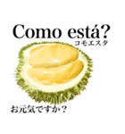 熟した ドリアン 【ポルトガル語】（個別スタンプ：4）