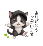 可愛いハチワレ猫 状況伝える思いやり 敬語（個別スタンプ：5）