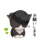 可愛いハチワレ猫 状況伝える思いやり 敬語（個別スタンプ：10）