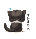可愛いハチワレ猫 状況伝える思いやり 敬語（個別スタンプ：19）