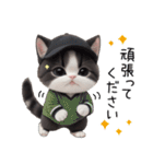 可愛いハチワレ猫 状況伝える思いやり 敬語（個別スタンプ：20）