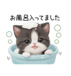 可愛いハチワレ猫 状況伝える思いやり 敬語（個別スタンプ：25）