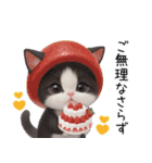 可愛いハチワレ猫 状況伝える思いやり 敬語（個別スタンプ：29）