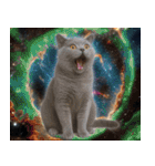飛び出す！宇宙猫（個別スタンプ：5）