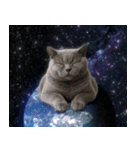 飛び出す！宇宙猫（個別スタンプ：14）
