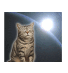 飛び出す！宇宙猫（個別スタンプ：15）