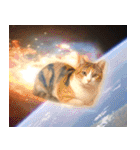 飛び出す！宇宙猫（個別スタンプ：18）