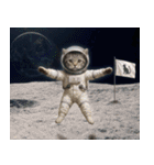 飛び出す！宇宙猫（個別スタンプ：21）