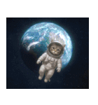飛び出す！宇宙猫（個別スタンプ：22）