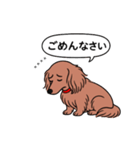 名前入りダックス：ロングレッド（個別スタンプ：2）