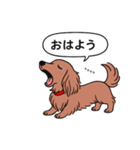名前入りダックス：ロングレッド（個別スタンプ：3）