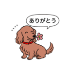 名前入りダックス：ロングレッド（個別スタンプ：5）