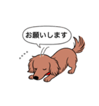 名前入りダックス：ロングレッド（個別スタンプ：7）