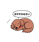 名前入りダックス：ロングレッド（個別スタンプ：9）