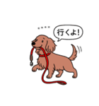 名前入りダックス：ロングレッド（個別スタンプ：11）