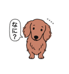 名前入りダックス：ロングレッド（個別スタンプ：22）
