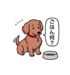 名前入りダックス：ロングレッド（個別スタンプ：24）