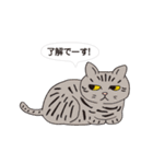 ボスにゃんこの使える言葉スタンプ（個別スタンプ：1）