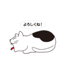 ボスにゃんこの使える言葉スタンプ（個別スタンプ：3）