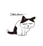 ボスにゃんこの使える言葉スタンプ（個別スタンプ：4）