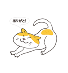 ボスにゃんこの使える言葉スタンプ（個別スタンプ：5）